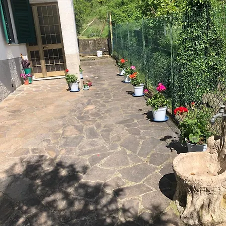La Primula Vicinanza 5 Terre *