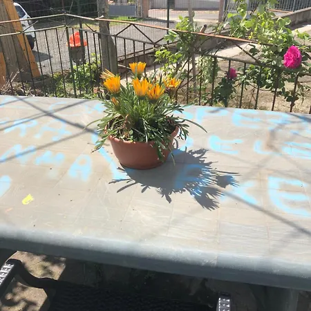 La Primula Vicinanza 5 Terre