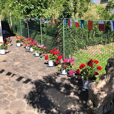 别墅 La Primula Vicinanza 5 Terre *