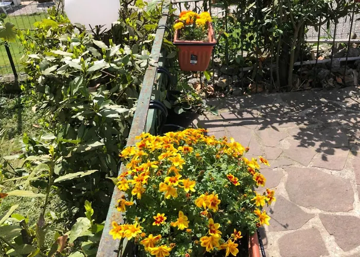 La Primula Vicinanza 5 Terre Villa *